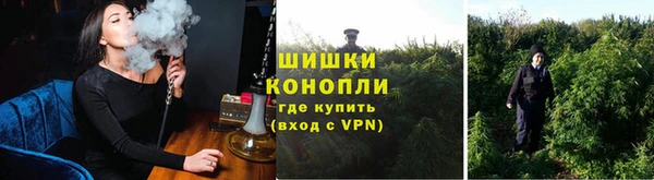 спайс Нея