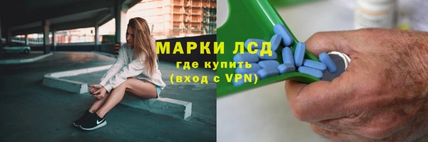 спайс Нея