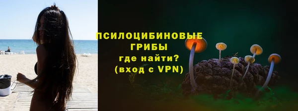 спайс Нея