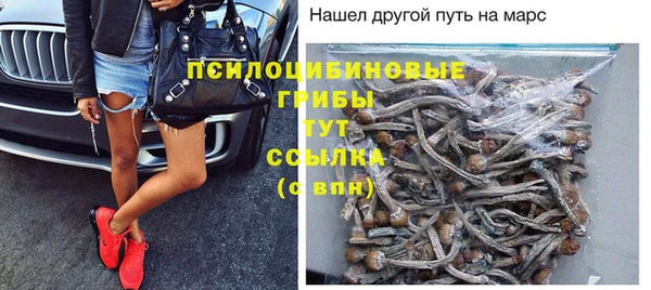 спайс Нея