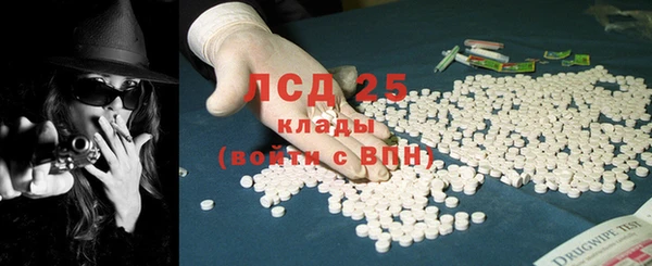 спайс Нея