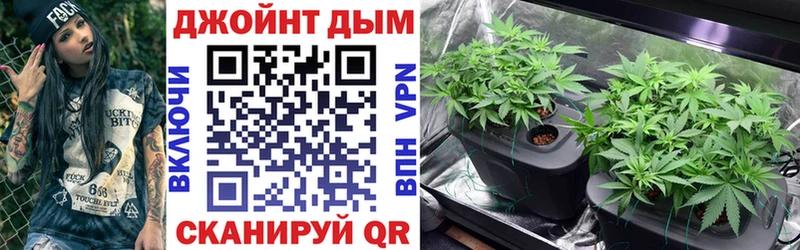 Купить Лысково Каннабис AK-47